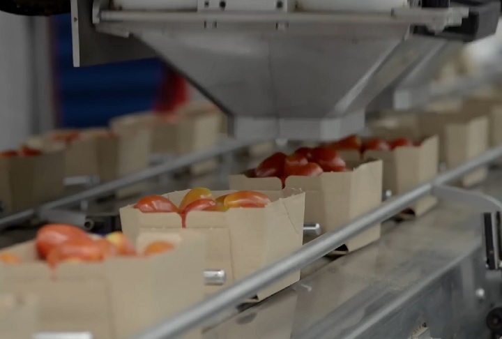 Ali, são produzidas anualmente cerca de 4 milhões de toneladas de alimentos, como pimentão, tomate, pepino, melão e melancia.