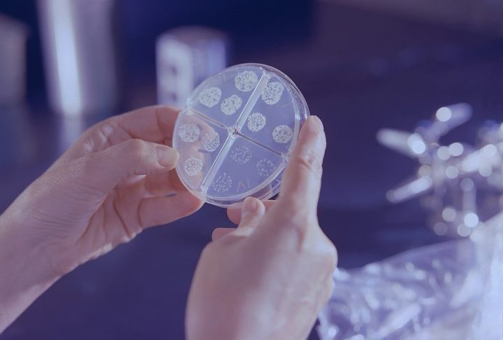 O monitoramento ainda é um desafio. Embora o número de países participantes do sistema GLASS tenha aumentado de 25 em 2016 para 104 em 2023, quase metade ainda não envia dados e muitos não têm infraestrutura laboratorial adequada.