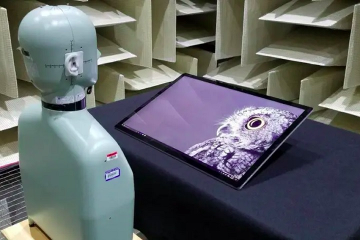 O motivo disso está na maneira como o cérebro humano funciona. Acostumado a receber estímulos sonoros o tempo todo, ele reage ao silêncio total criando sensações internas.