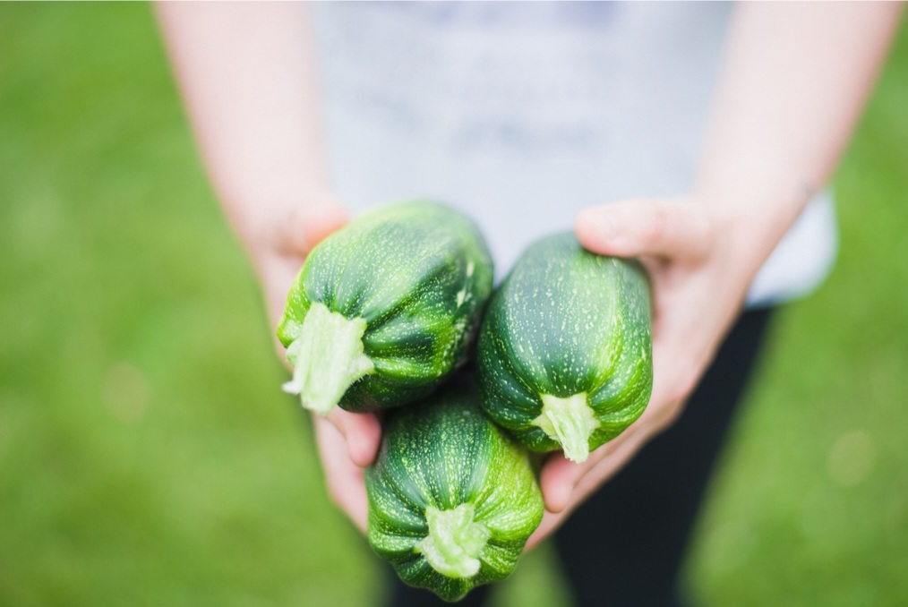 Por ser um alimento com fonte de cálcio, potássio e fósforo, a abobrinha ajuda a formar e manter a saúde dos ossos e dos dentes.