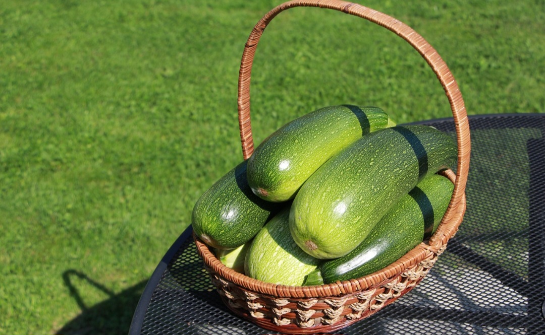 Os frutos são muito sensíveis e se machucam com facilidade, apodrecendo rapidamente nas partes machucadas. Por isto, escolha-os com cuidado, sem apertá-los ou danificá-los com as unhas.