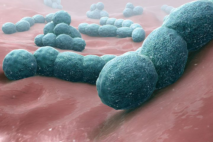 O relatório destaca que as bactérias gram-negativas, como a E. coli e a K. pneumoniae, são as mais perigosas atualmente, sendo responsáveis por infecções graves na corrente sanguínea.