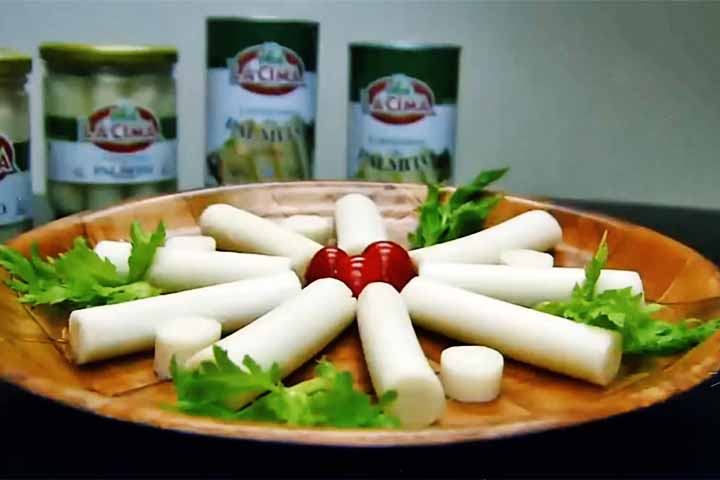 Nesse sentido, para colher o palmito é necessário retirar o broto no interior das folhas da palmeira. Na pupunha (um tipo deste legume), é possível fazer isso sem comprometer totalmente a planta.