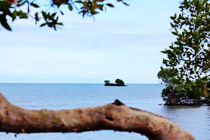 A presença dessa fauna no local, que fez de um navio encalhado uma ilha artificial,  levou o governo da Austrália a declarar a área Patrimônio Marítimo. 
