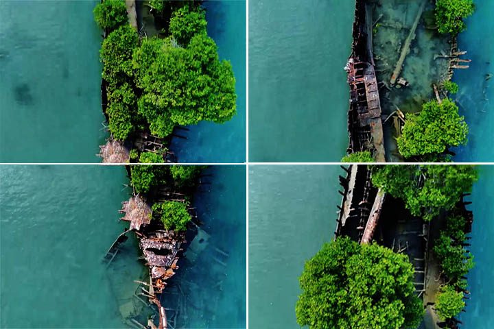 O surgimento da vegetação sobre os destroços do navio explica-se pela presença de sementes levadas por aves que habitam a Ilha Magnetic. 
