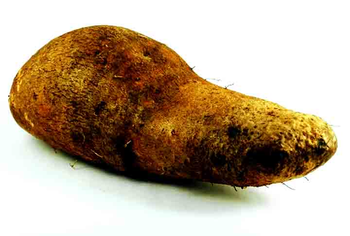 O cará é rico em carboidratos e possui baixo índice glicêmico. Isso significa que a glicose vai sendo liberada aos poucos na corrente sanguínea. Esse alimento possui bastante fibras, em especial a pectina, conferindo saciedade.