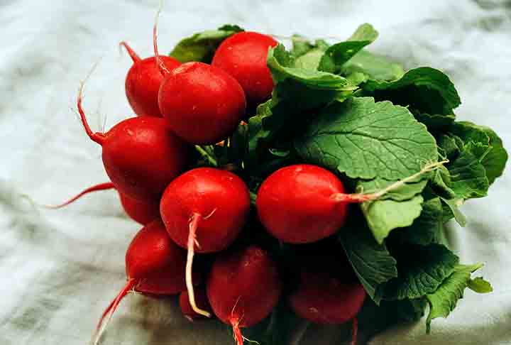 O rabanete tem poucas calorias, mas fornece uma série de nutrientes, como potássio, cálcio, magnésio, fósforo, cobre e zinco. Este vegetal possui ainda um baixo índice glicêmico, sendo uma boa opção para quem tem diabetes.