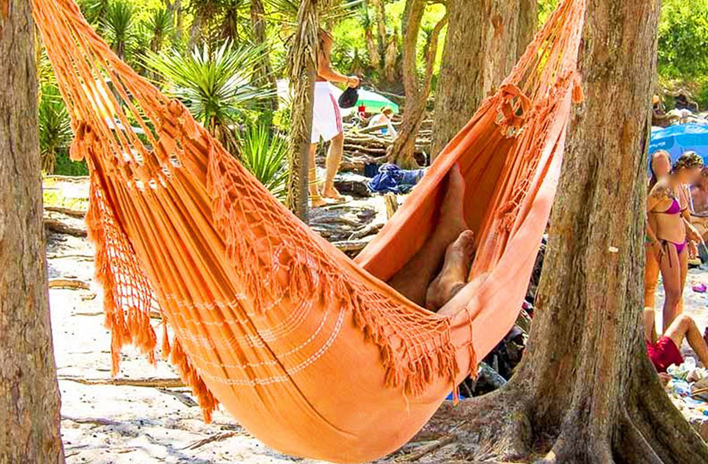 Na literatura e na música popular, a rede aparece como símbolo de poesia e descanso, evocando imagens de balanço suave e frescor em tardes ensolaradas.