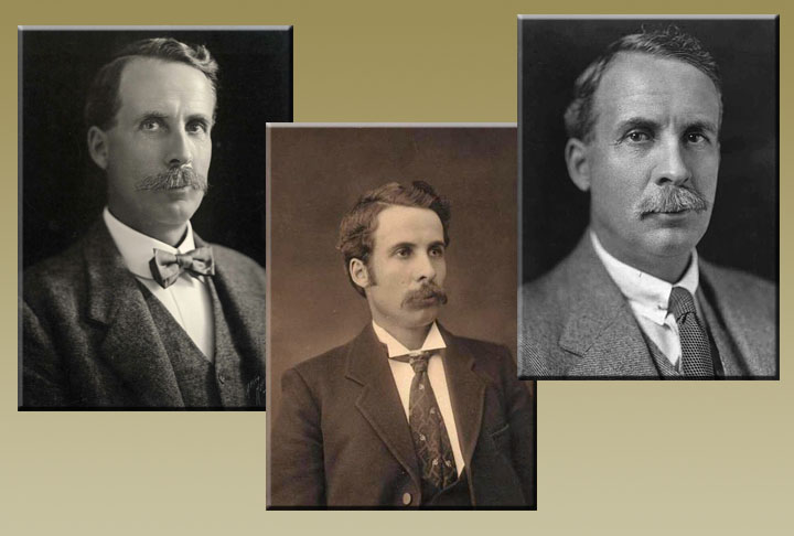 O então ministro da defesa George Pearce enviou às áreas tomadas pelos emus um grupamento militar a fim de dizimá-los. A tropa levou duas metralhadoras Lewis e munição de dez mil cartuchos.