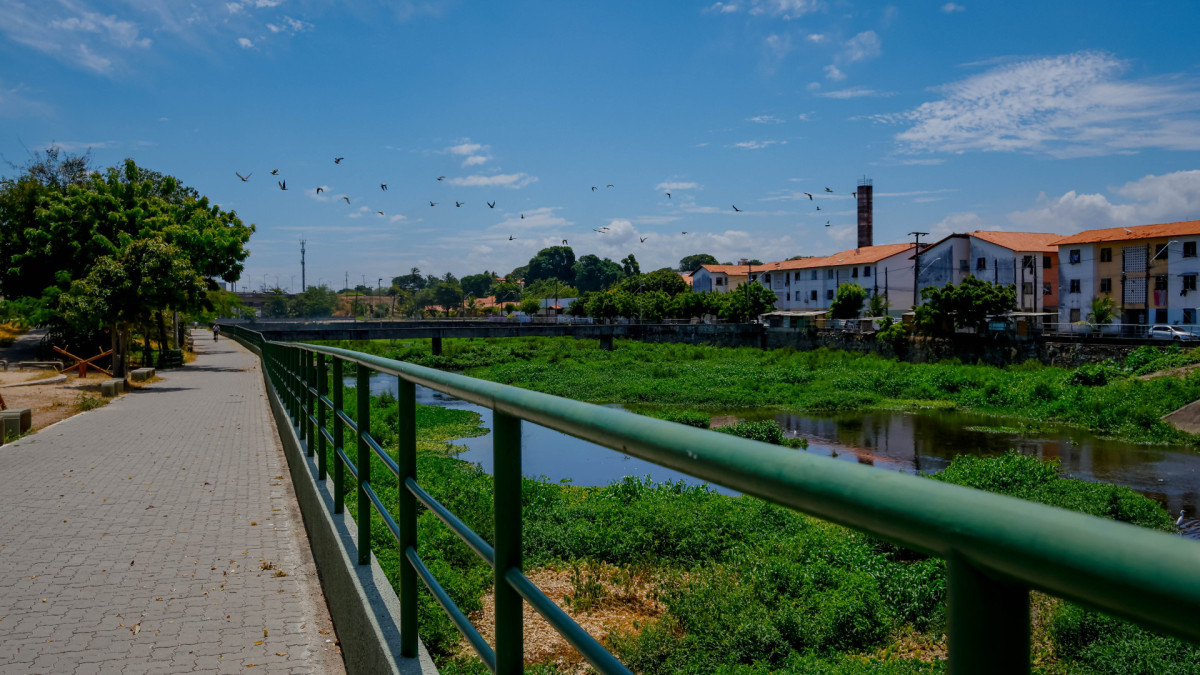 FORTALEZA, CE, BRASIL, 06-01-2026:  Limpeza de canais de Fortaleza, Vamos ao Canal do Lagamar pra falar sobre a limpeza dos canais de Fortaleza. Alguns trechos dele ainda não foram limpos para a quadra chuvosa.. (Foto: Aurelio Alves  / Jornal O POVO)