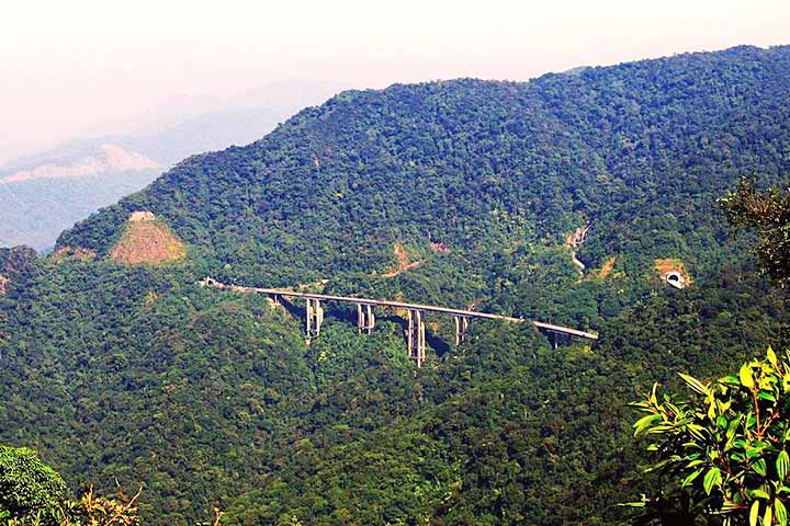 Vista do alto, a estrada parece flutuar sobre o verde da floresta, criando um contraste visual que ajudou a transformá-la
em presença constante em reportagens e estudos de engenharia.