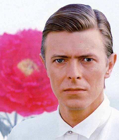 David Bowie - O ícone da cultura pop, morto em 2016, é um caso que não se enquadra em heterocromia, apesar de muitos achassem que sim. Embora seus olhos parecessem de cores diferentes — um castanho e o outro verde‑acinzentado —, essa aparência era causada por uma condição chamada anisocoria. 
