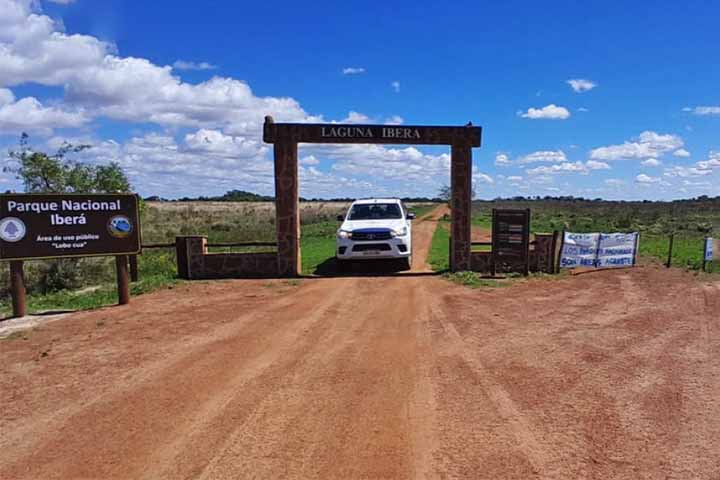 Os alagados argentinos ocupam cerca de 21% do território do país. Funcionam, portanto, como “esponjas naturais”, que podem absorver e liberar água para ajudar a controlar enchentes e períodos de seca. 
