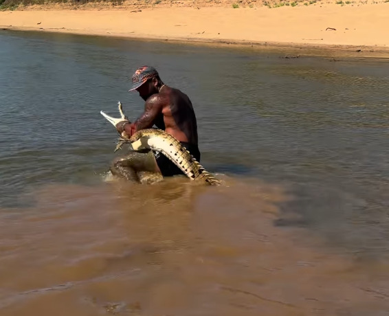 O influenciador de vida selvagem Mike Holston postou um vídeo que viralizou, mas também atraiu muitas crítiicas. Ele mergulhou em água doce para agarrar um crocodilo, foi ferido, mas segurou o animal com força e posou para a rede social antes de libertar o réptil.   'Ele me pegou, mas eu o peguei!' , disse. 