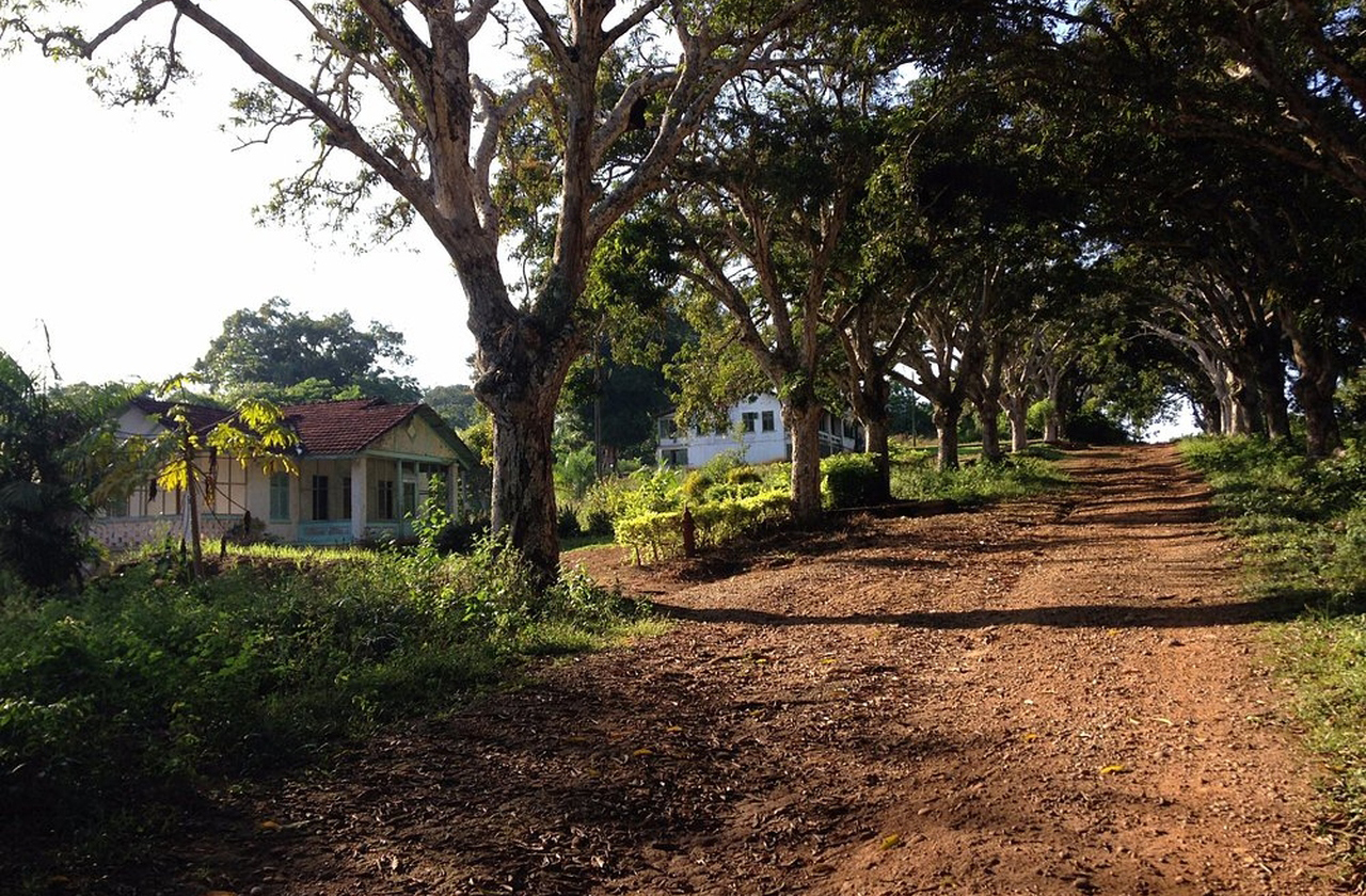 Fordlândia é um monumento à resistência da floresta e da cultura local. Representa a arrogância humana diante da complexidade biológica da Amazônia. Visitar o distrito de Aveiro, aliás, é confrontar o sonho e o fracasso de um dos homens mais ricos do mundo.