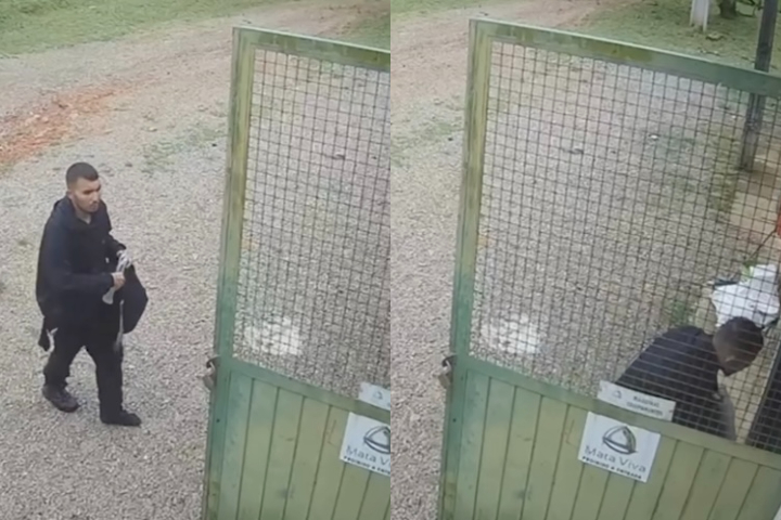 Imagens de câmeras de segurança mostram o rapaz chegando na fazenda para pedir ajuda após conseguir sair do Pico.

