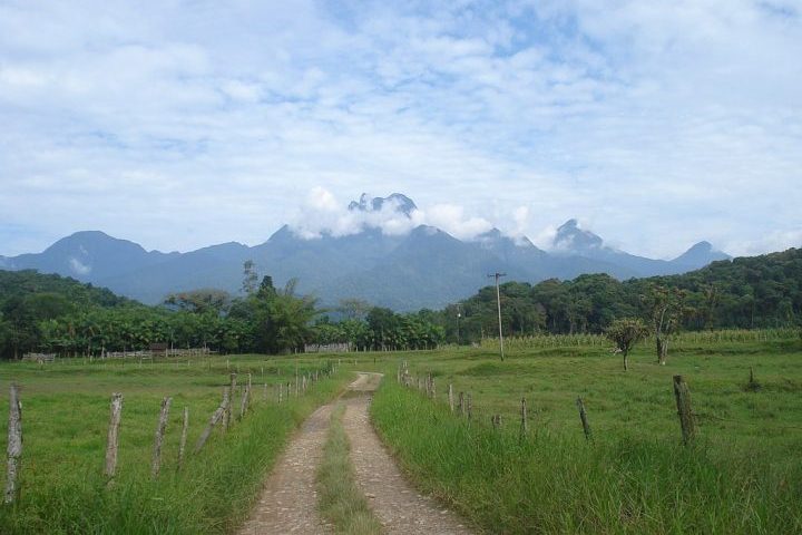 Segundo o Corpo de Bombeiros, Roberto conseguiu caminhar sozinho por mais de 20 km até chegar a uma fazenda na localidade de Cacatu, em Antonina.