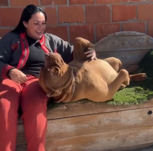 Ele é super amoroso e cuidadoso e demonstra isso para a gente, para as pessoas que estão por perto e, claro, para os outros bichos aqui da fazenda, explicou ela.