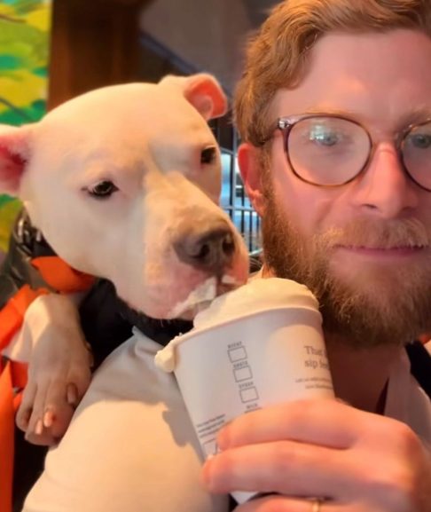 Esse contato mais humano e espontâneo, segundo Bryan, aumenta significativamente as chances de adoção.