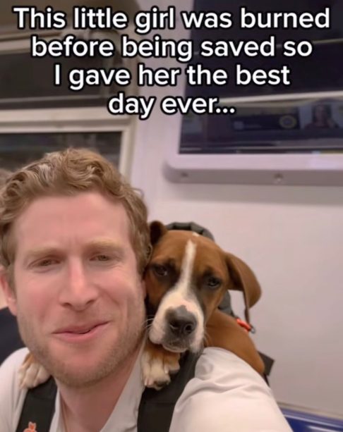 Alguns cachorros até revelam traços de personalidade que dificilmente seriam percebidos atrás das grades de um abrigo. 