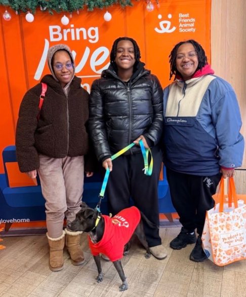 O projeto acontece em parceria com o Animal Care Centers of NYC e conta ainda com o apoio de organizações como a Best Friends Animal Society, responsáveis por auxiliar na seleção dos cães.