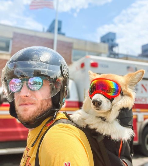 Ao The Washington Post, Reisberg destacou que a experiência vai além do conteúdo digital: “É maluco para mim, poder ver mudanças reais do impacto direto que estou a ter para melhorar a vida de outra pessoa e de outro cão”.