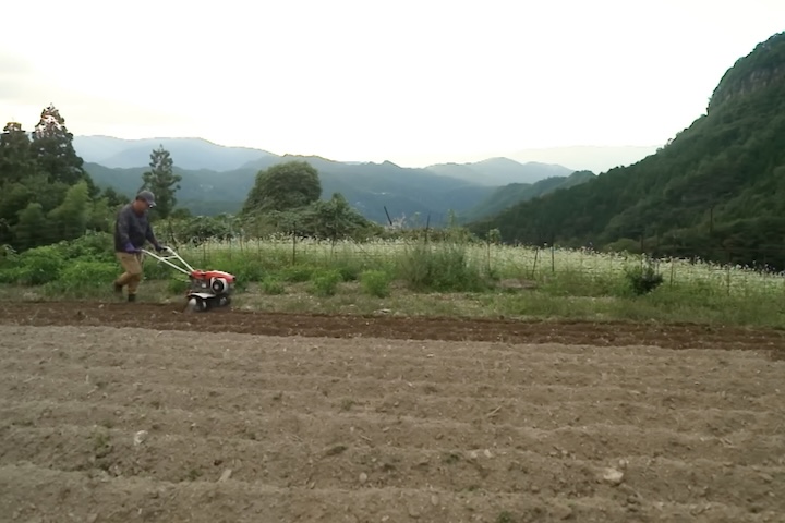 Mesmo assim, o agricultor de 89 anos segue cuidando sozinho da irrigação, do plantio, do controle de ervas e da colheita, demonstrando força física surpreendente para sua idade.