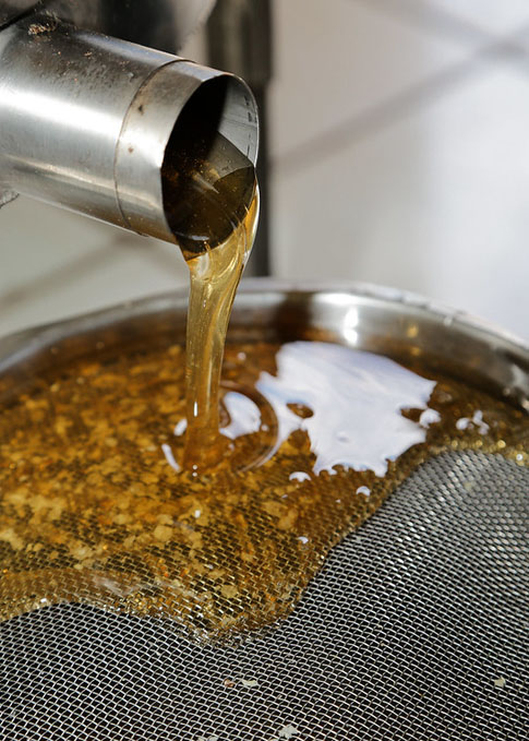 Os cientistas agora buscam aumentar a estabilidade e o tempo de conservação deste mel saborizado. O objetivo é ampliar a aplicação industrial e viabilizar a comercialização em larga escala. O estudo foi publicado na revista científica ACS Sustainable Chemistry and Engineering. Os autores procuram parceiros para licenciarem a tecnologia, o que pode acelerar a chegada do produto ao mercado.