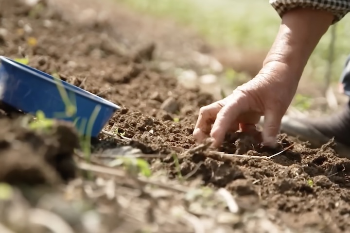 O idoso enfrenta diariamente trilhas íngremes, clima rigoroso e a total ausência de mecanização.