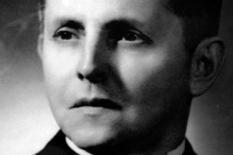 Imagem de Dem&oacute;crito Rocha