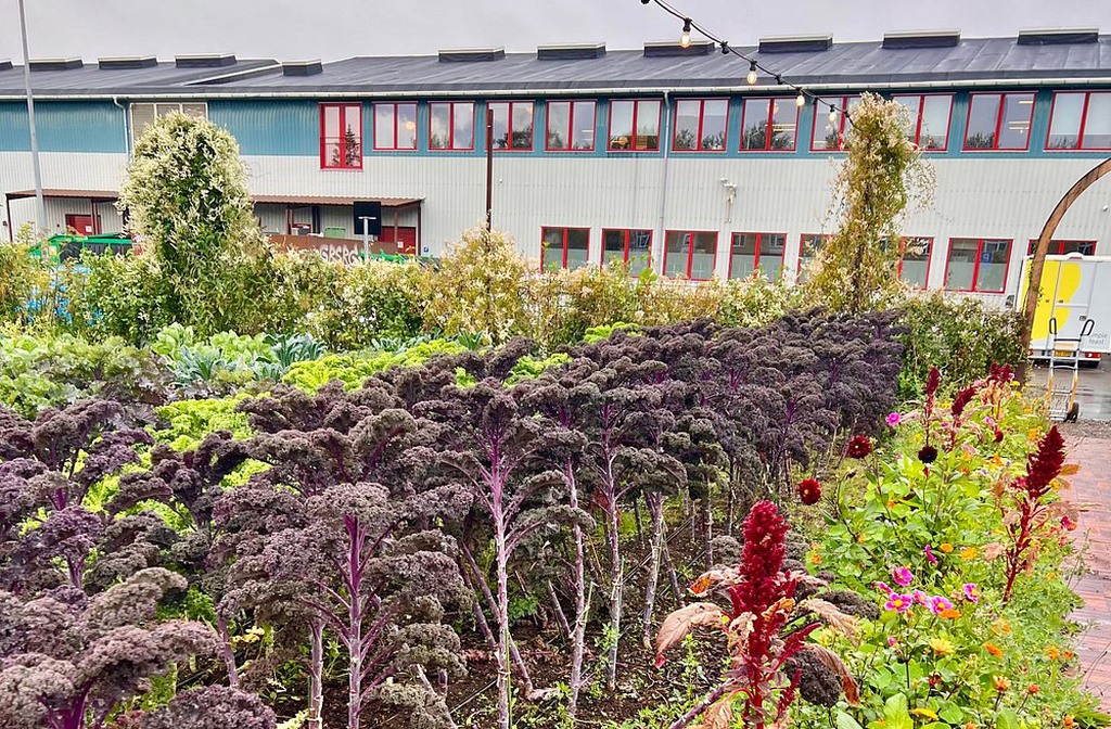 A comunidade valoriza práticas ecológicas, como hortas comunitárias, reciclagem e construções sustentáveis. Muitos moradores utilizam energia renovável e materiais reaproveitados em suas casas. Assim, busca reduzir o impacto ambiental e servir de exemplo para cidades modernas. 
