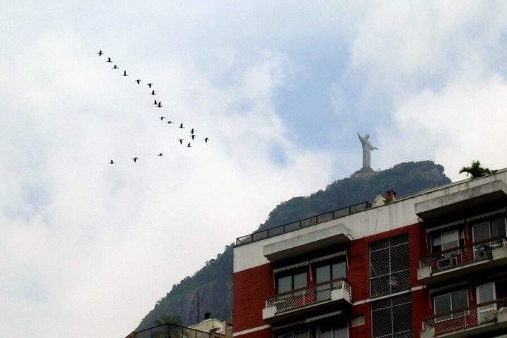 Alguns dos destaques do bairro são sua oferta de bares, restaurantes e serviços, além da proximidade com parques e áreas de lazer, como a Lagoa Rodrigo de Freitas.