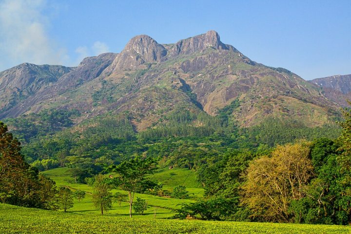 Monte Mulanje (Malawi) – O monte faz parte de um maciço montanhoso isolado e uma área de extraordinária beleza natural e biodiversidade. Suas florestas e vales abrigam espécies endêmicas e são de grande importância ecológica e cultural.
 