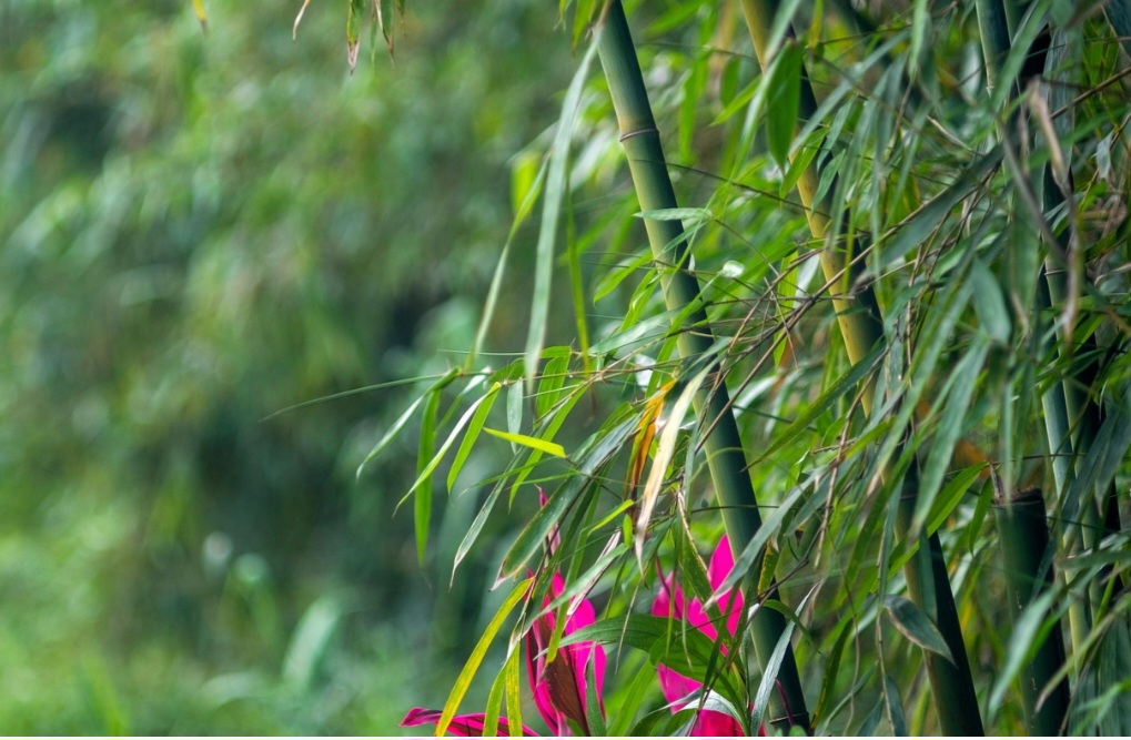 Também há mitos sobre métodos “naturais” de preservação, como imersão em água, cozimento no vapor ou uso de óleo de neem, que em estudos não se mostram eficazes a médio e longo prazo.