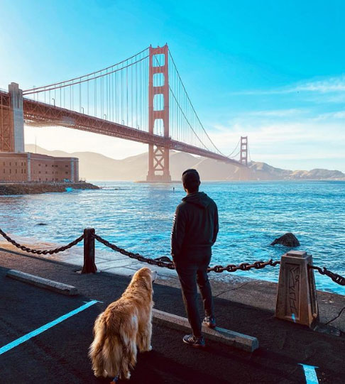 A última postagem de Jesse no Instagram foi em 19/5/2022, quatro dias antes do acidente, a cerca de 17 horas do local onde morreria. Ele publicou uma foto observando a ponte em San Francisco, na Califórnia.