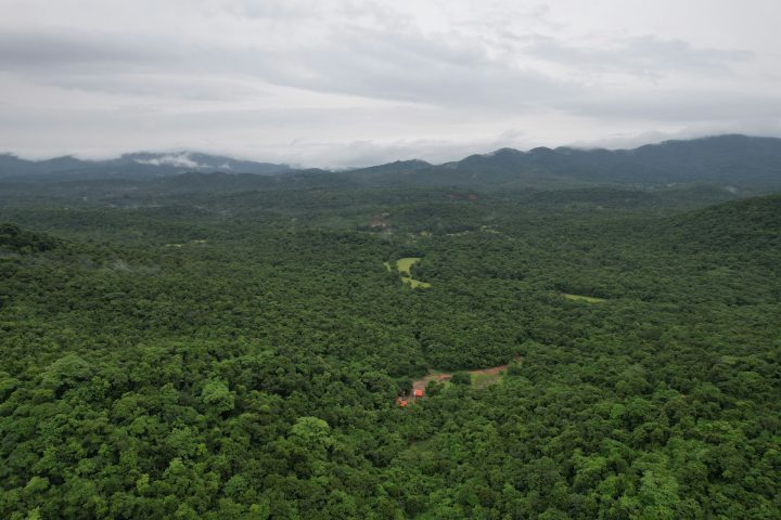 Complexo Gola-Tiwai (Serra Leoa) – Compreende uma das maiores extensões de floresta tropical remanescente na Serra Leoa. O lugar é importante para a conservação de espécies ameaçadas e para a pesquisa científica.
 