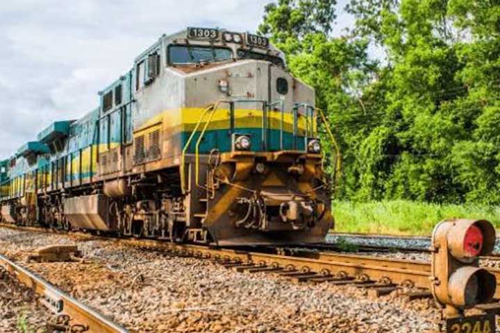 A partir de 1908, o foco se voltou para o transporte do minério de ferro da cidade de Itabira até os portos capixabas. 
