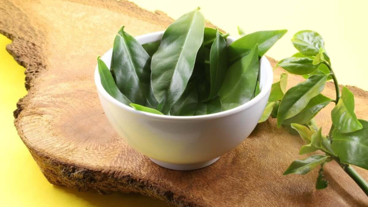 Ora-pro-nóbis: 7 motivos para incluir a planta na alimentação