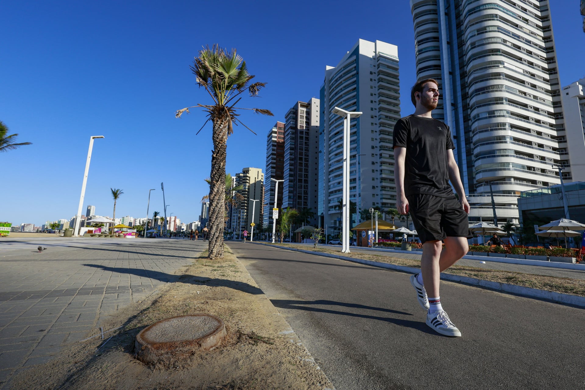 Agefis tamb&eacute;m n&atilde;o registrou nenhuma queixa acerca da poda ilegal das carna&uacute;bas