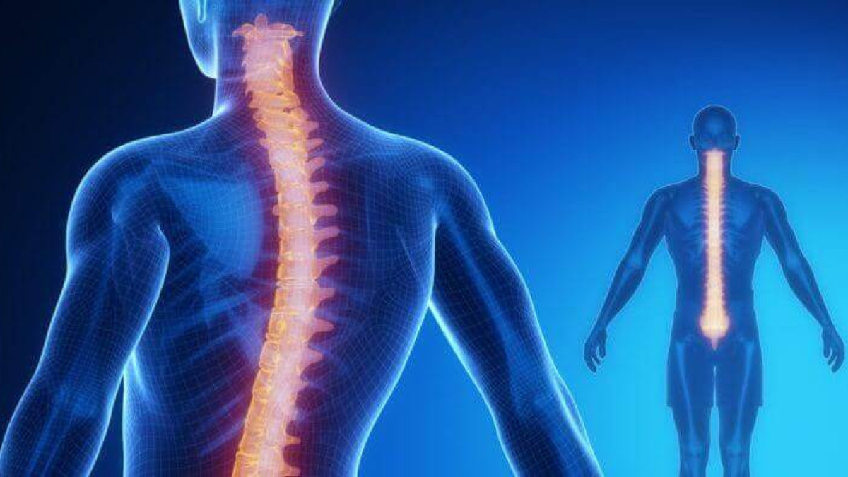 O Brasil possui o terceiro maior registro de doadores do mundo, com mais de 6 milhões de cadastrados