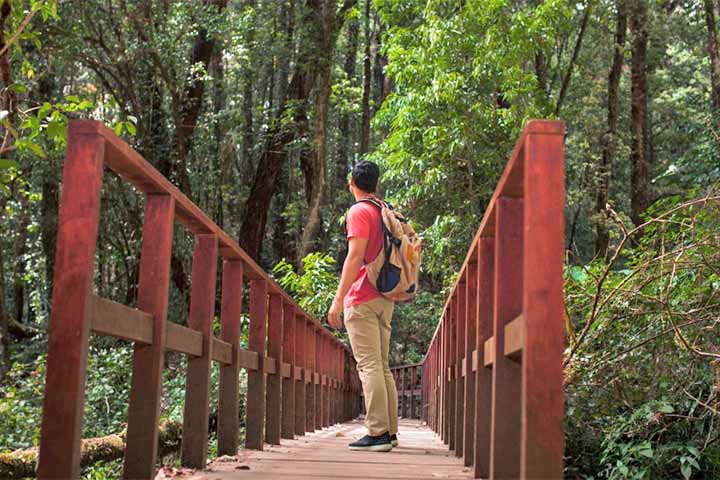 Gefirofobia - Medo persistente de atravessar pontes, independentemente do tamanho ou da altura delas. A fobia pode desencadear pânico diante da sensação de instabilidade, da altura ou da ideia de ficar preso no meio do percurso.
