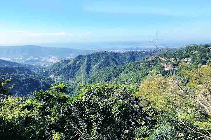 Em termos ambientais, Kingston surpreende ao abrigar uma das maiores áreas montanhosas próximas a uma capital caribenha. 
