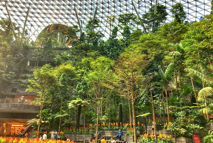1º) Aeroporto Changi de Singapura (Singapura): Considerado um dos principais aeroportos da Ásia, é o principal hub da companhia Singapore Airlines. É quase um parque: tem jardim de borboletas, pista de kart e até cachoeira de 40m de altura!