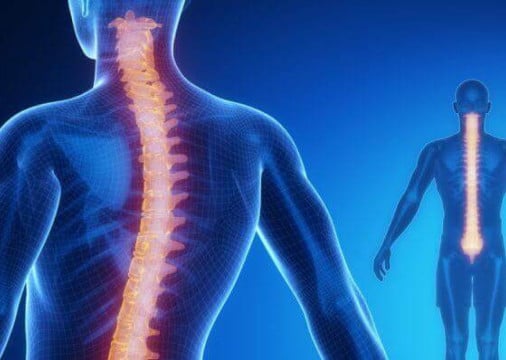 O Brasil possui o terceiro maior registro de doadores do mundo, com mais de 6 milhões de cadastrados