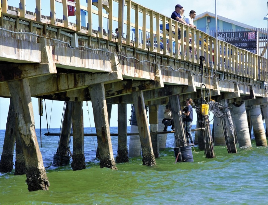 Por isso, antes da construção, são realizadas análises detalhadas do solo e do ambiente, aliadas a normas técnicas rigorosas e ao uso de simulações e testes que garantem a confiabilidade da estrutura ao longo do tempo.