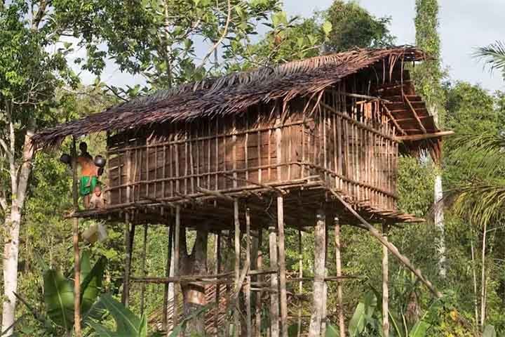 Na província de Papua, na Indonésia, uma tribo ganhou fama por construir suas moradias no topo de árvores que podem chegar a 35 metros de altura!