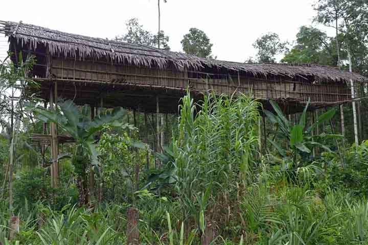 Antigamente, as casas no alto de árvores também serviam de defesa contra tribos rivais que pudessem tentar atacar de alguma forma. 
