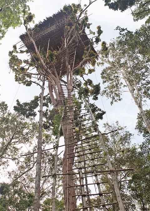 Quando a estrutura se deteriora ou é considerada impura, a família a abandona e constrói uma nova.