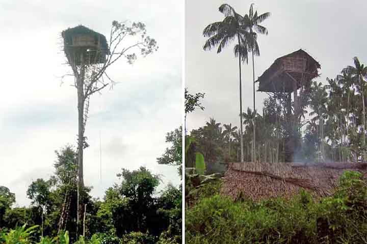 As moradias elevadas são uma estratégia de sobrevivência que protege as famílias da umidade, enchentes, insetos e animais selvagens.