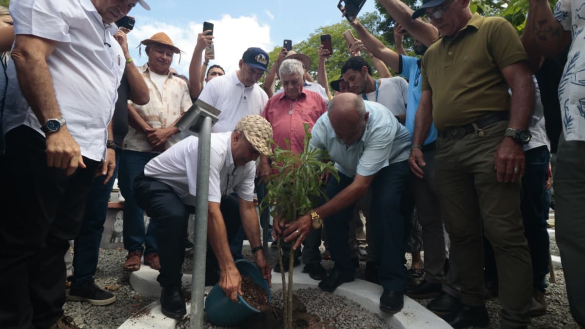 Profetas da chuva indicam que o inverno de 2026 deve variar entre fraco e intermediário, com maior concentração de chuvas entre março e maio, segundo a maioria das leituras da natureza.